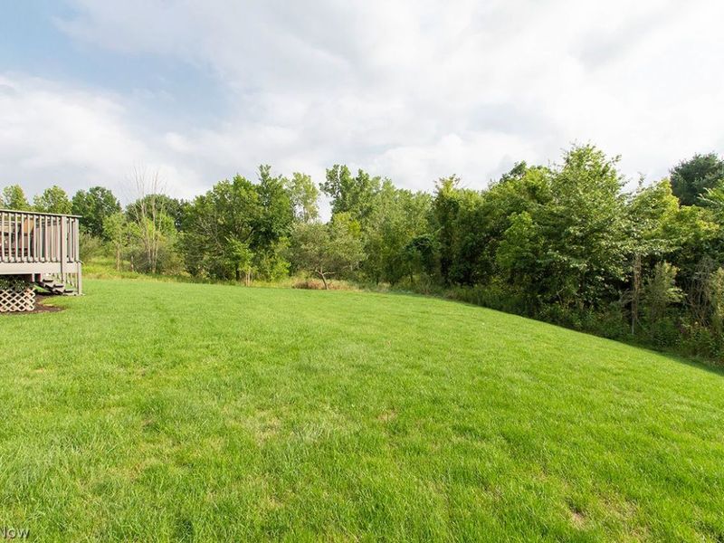 4050 Alameda Court, Medina, OH 44256 Photo 48