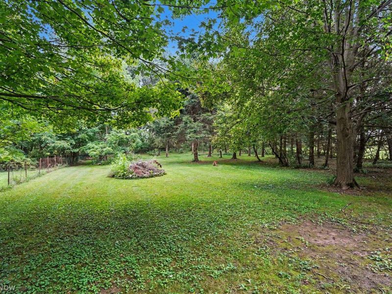 1544 Northeast Avenue, Tallmadge, OH 44278 Photo 33