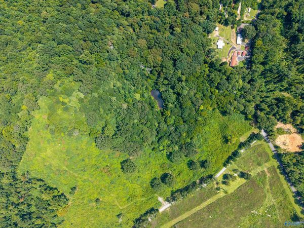 18 Acres Aldridge Gap Road, Guntersville, AL 35976