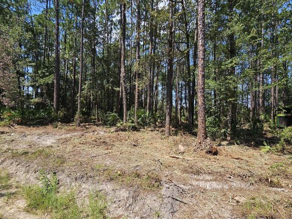 323 Baker Creek Road , Nahunta, GA 31553