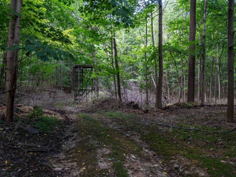 48 Concord Avenue, Put in Bay, OH 43456 Photo 62