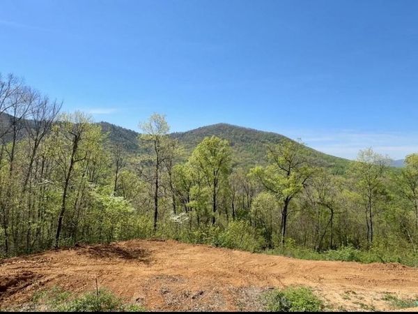 520 Stevia Way , Cosby, TN 37722