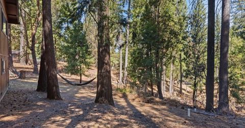 25321 Sugar Pine Dr, Pioneer, CA 95666 Photo
