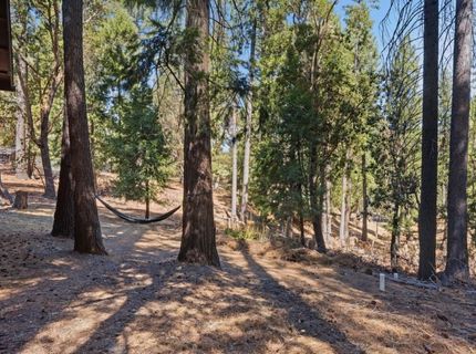 25321 Sugar Pine Dr, Pioneer, CA 95666 Photo