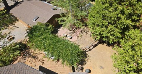 25321 Sugar Pine Dr, Pioneer, CA 95666 Photo