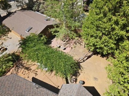 25321 Sugar Pine Dr, Pioneer, CA 95666 Photo