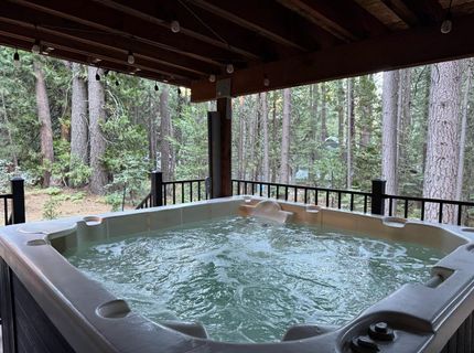 41140 Putt Rd, Emigrant Gap, CA 95715 Photo
