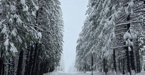 41140 Putt Rd, Emigrant Gap, CA 95715 Photo
