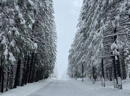 41140 Putt Rd, Emigrant Gap, CA 95715 Photo