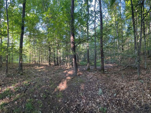 Hidden Court , Mount Tremper, NY 12457