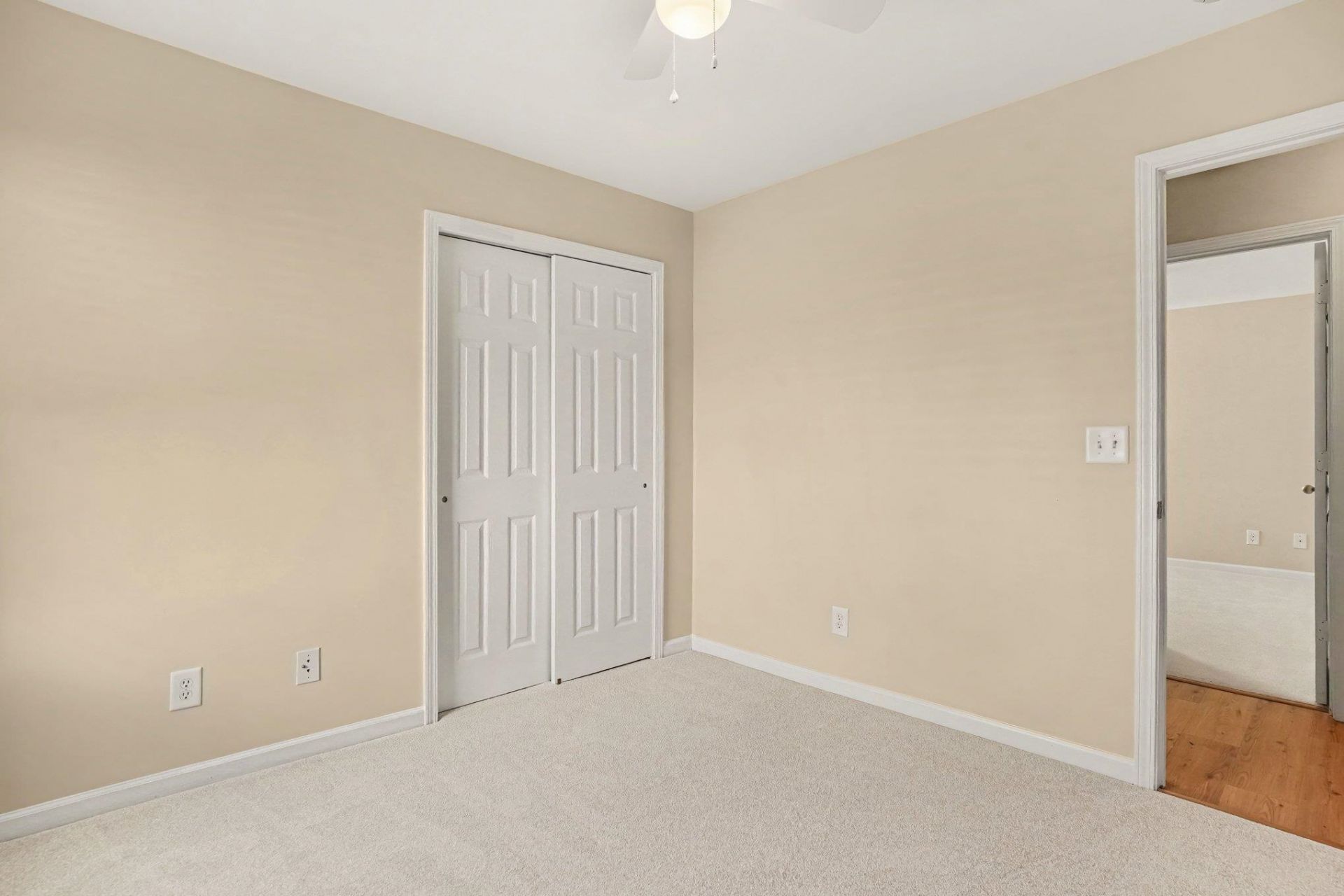 966 Bonita Loop Photo 19