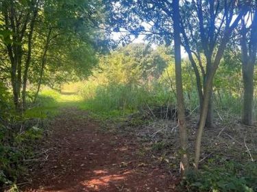 JAMES MADISON HIGHWAY, ORANGE, VA 22960