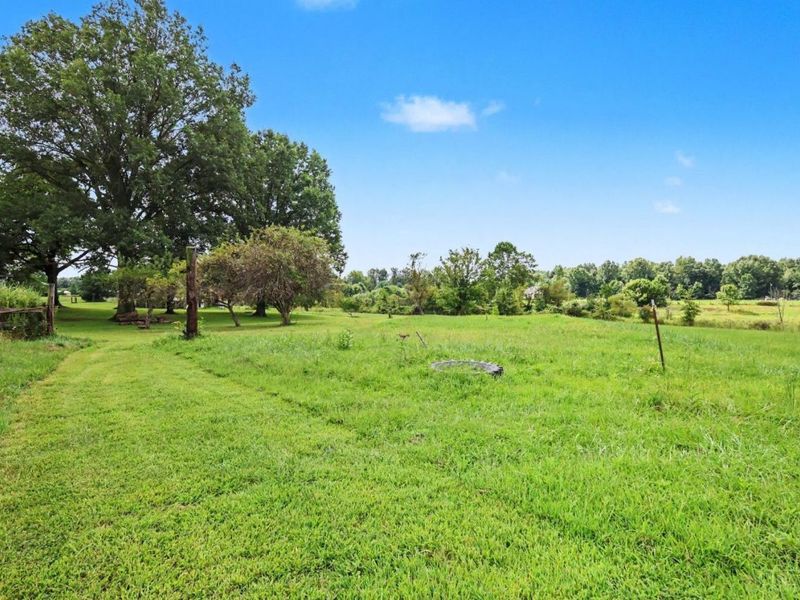 2147 Bethel Maple Road, Hamersville, OH 45130 Photo 8