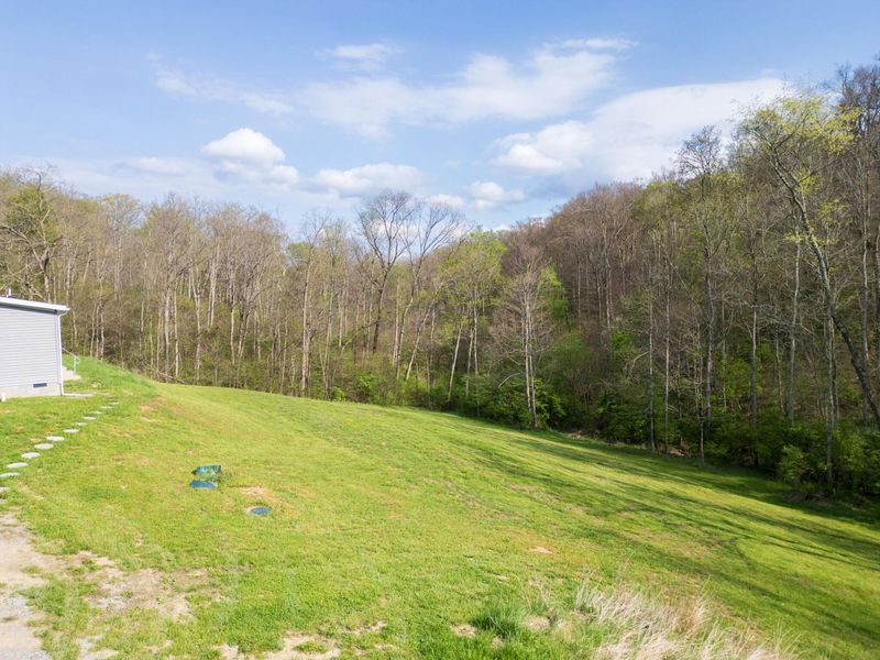 3519 Rector Road, Morning View, KY 41063 Photo 25