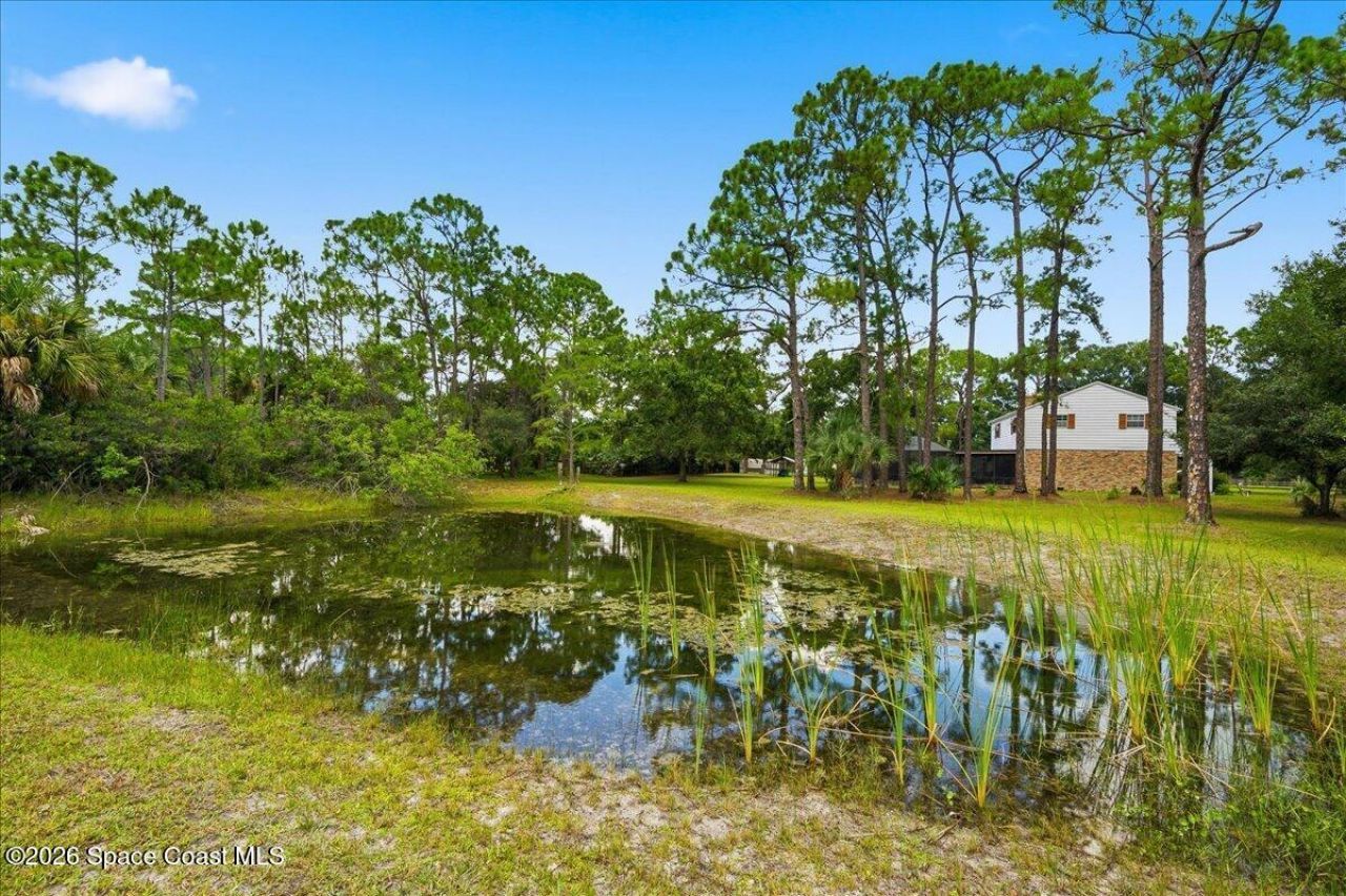 1534 Willard Road Nw, Palm Bay, FL 32907 Photo