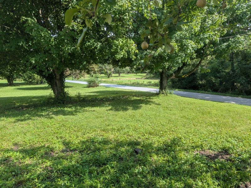 5323 Township Road 213, Marengo, OH 43334 Photo 10