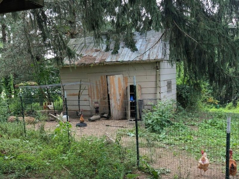 5323 Township Road 213, Marengo, OH 43334 Photo 7