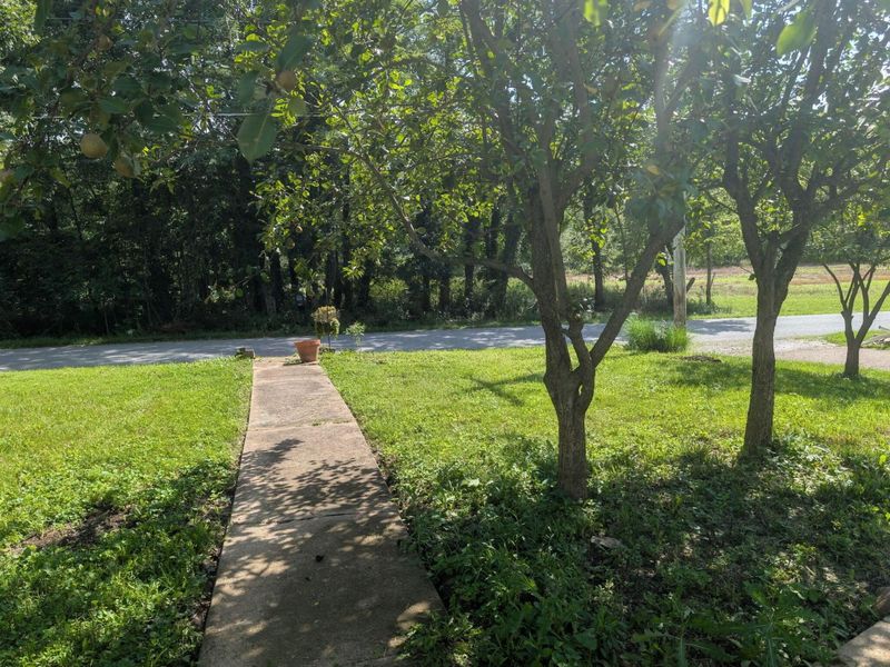 5323 Township Road 213, Marengo, OH 43334 Photo 9