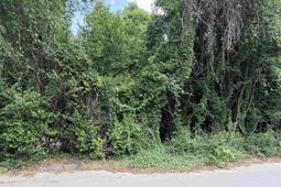 1516 Fanning Street  photo 4