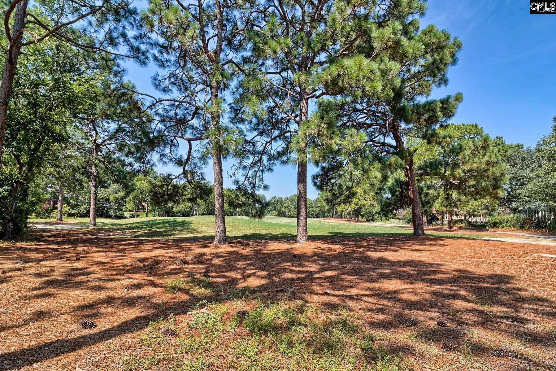 224 Mallet Hill Road Photo 7
