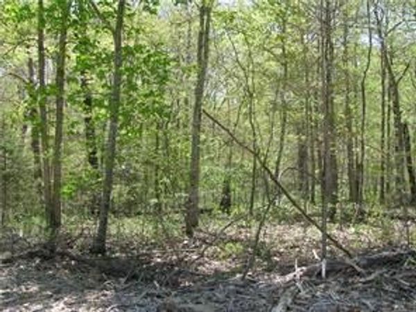 Argyll Drive , Bella Vista, AR 72715