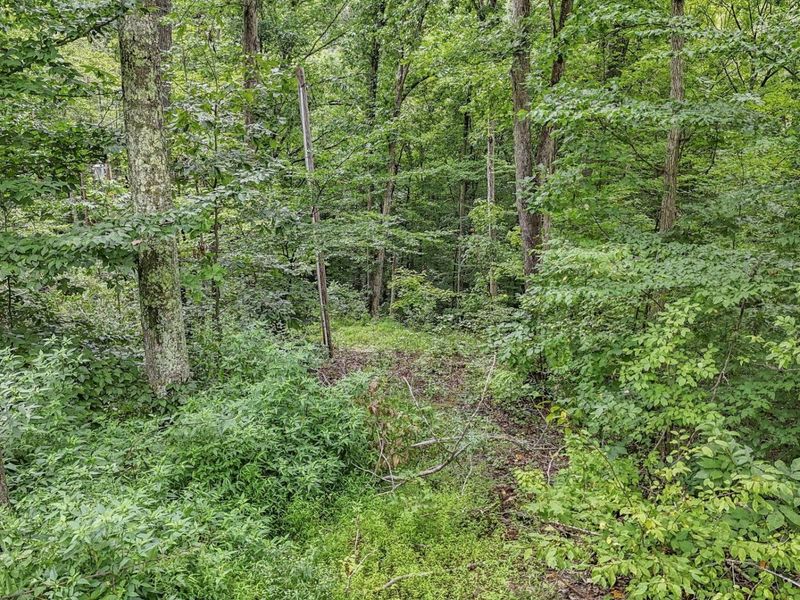 57859 N Branch Road , South Bloomingville, OH 43152 Photo 8