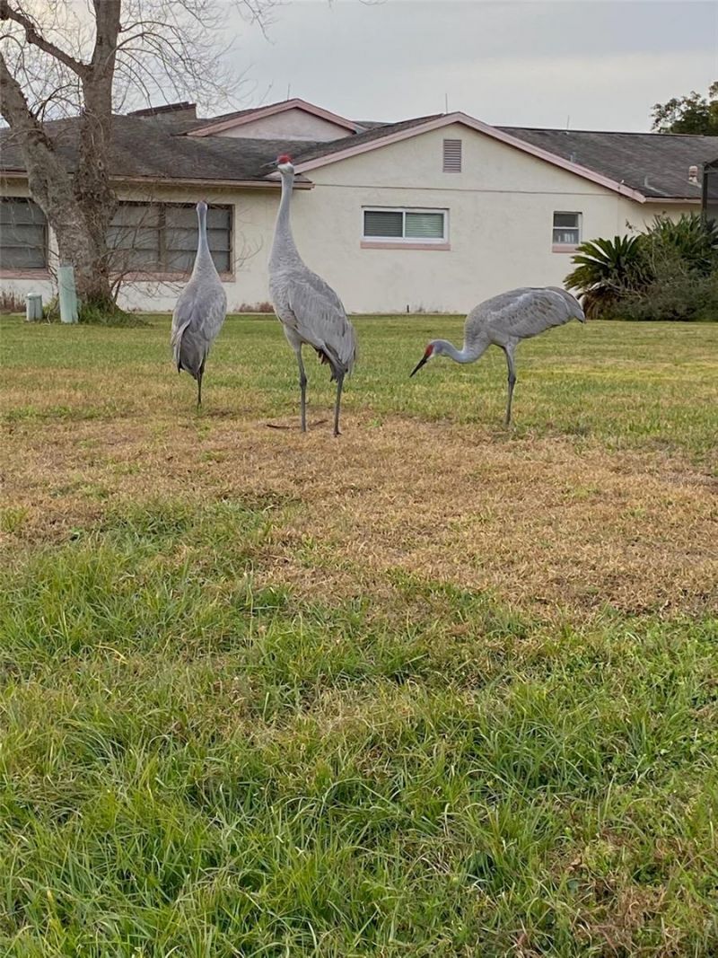 11226 Scenic View Lane , Orlando, FL 32821 Photo