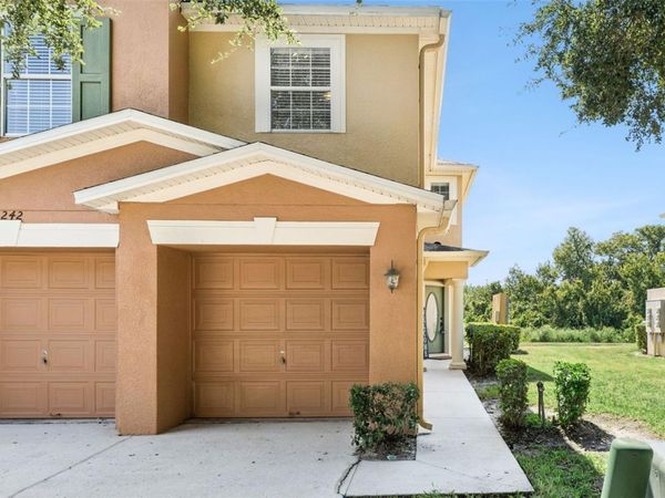 242 WINTER NELLIS CIRCLE , WINTER GARDEN, FL 34787