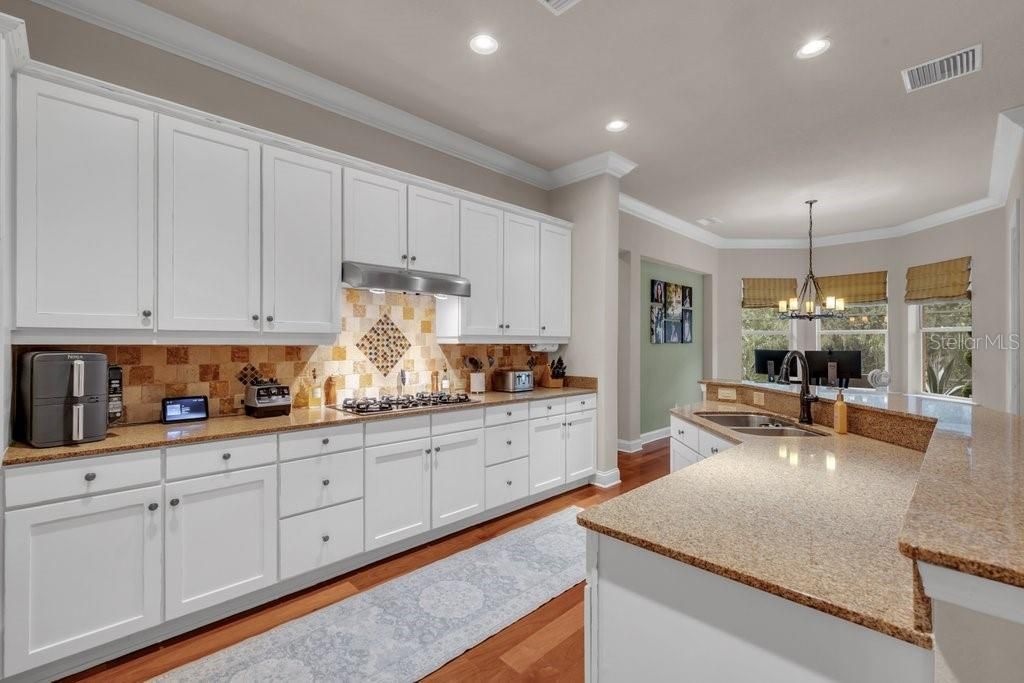 16012 Ternglade Drive , Lithia, FL 33547 Photo