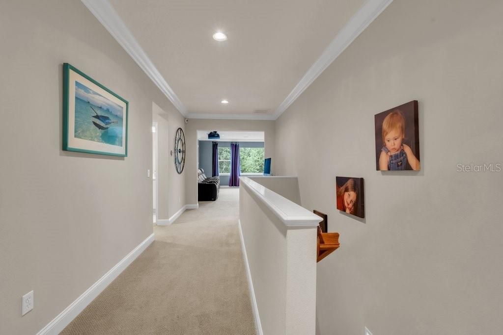 16012 Ternglade Drive , Lithia, FL 33547 Photo