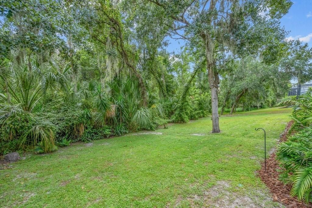 16012 Ternglade Drive , Lithia, FL 33547 Photo