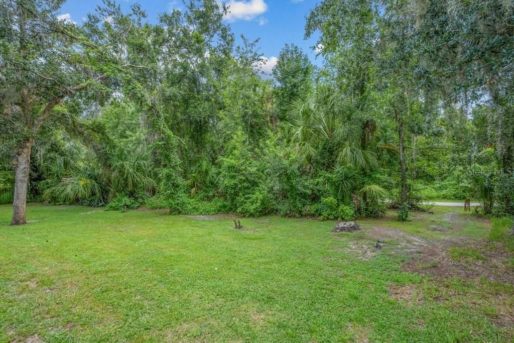 16012 Ternglade Drive , Lithia, FL 33547 Photo