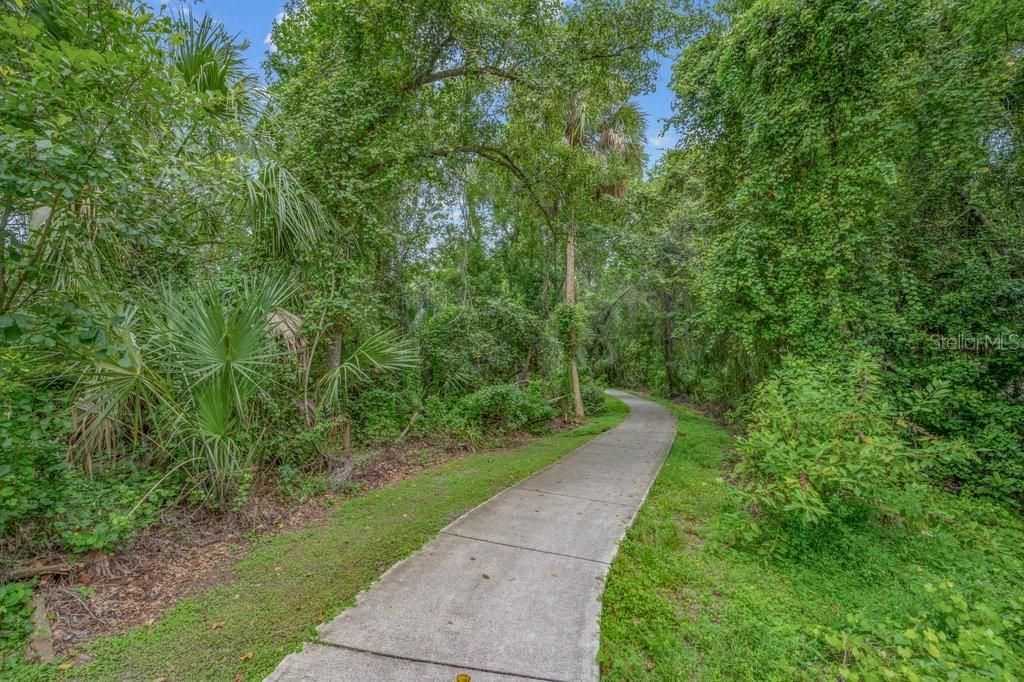 16012 Ternglade Drive , Lithia, FL 33547 Photo