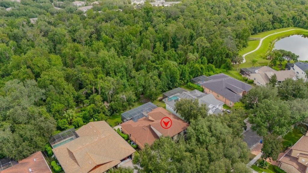 16012 Ternglade Drive , Lithia, FL 33547 Photo