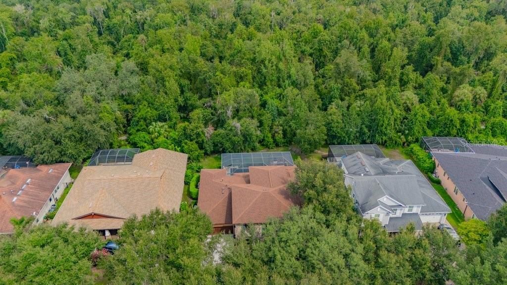 16012 Ternglade Drive , Lithia, FL 33547 Photo