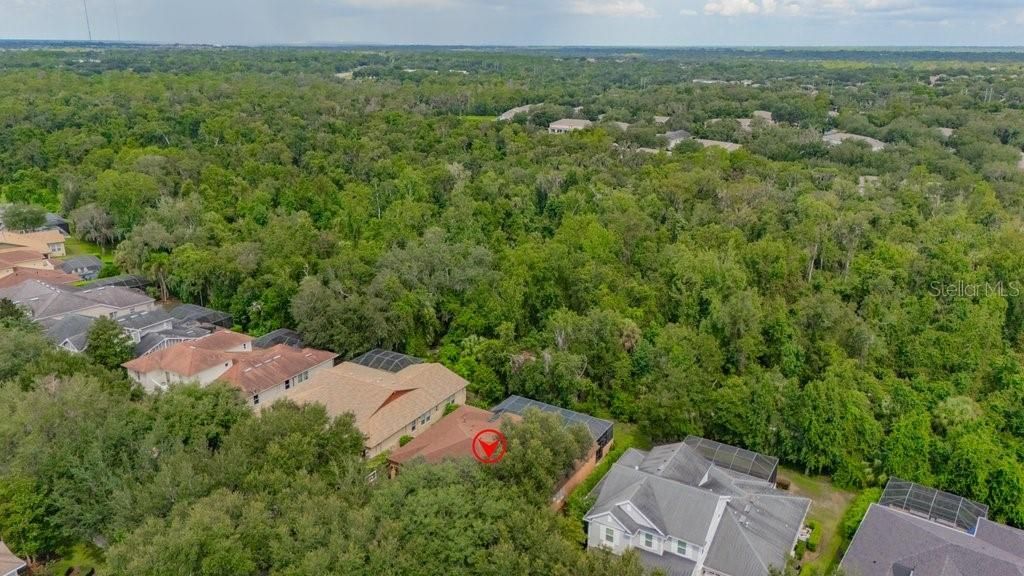 16012 Ternglade Drive , Lithia, FL 33547 Photo
