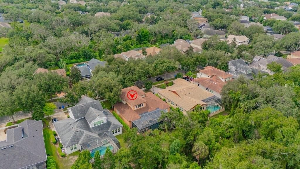 16012 Ternglade Drive , Lithia, FL 33547 Photo