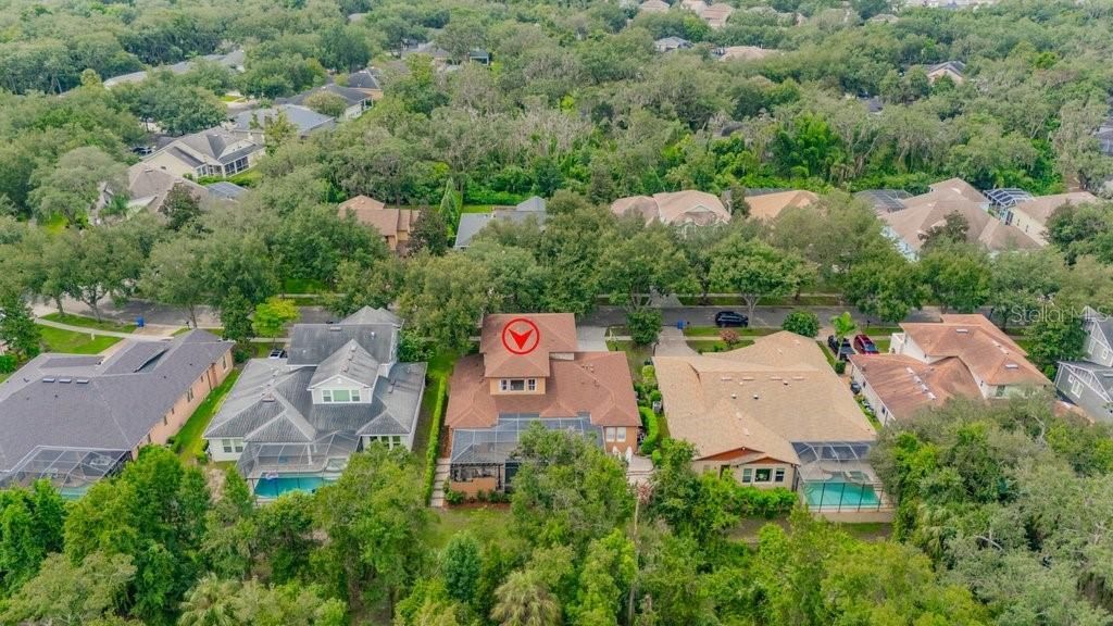 16012 Ternglade Drive , Lithia, FL 33547 Photo