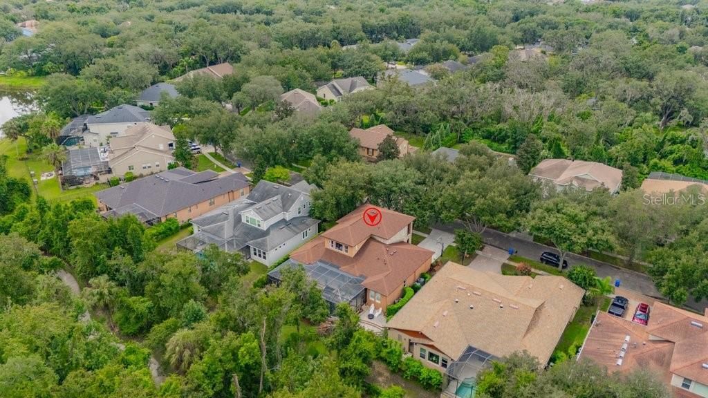 16012 Ternglade Drive , Lithia, FL 33547 Photo