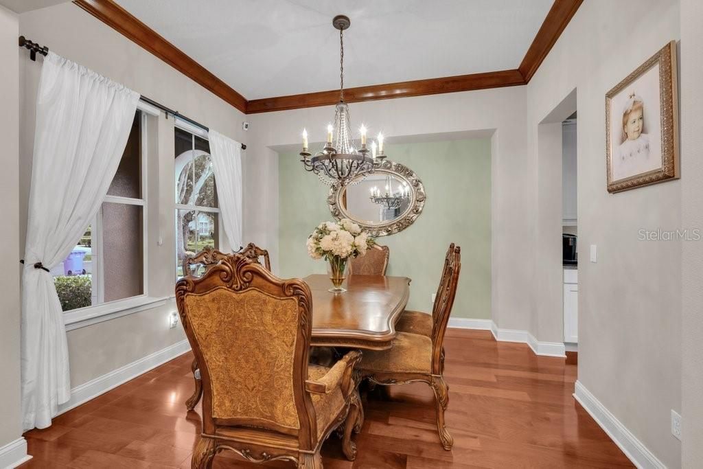16012 Ternglade Drive , Lithia, FL 33547 Photo