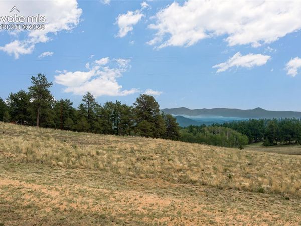954 County Road 403 , Guffey, CO 80820