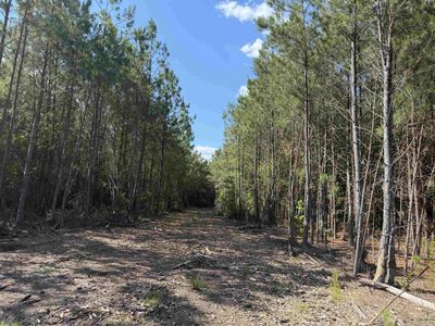 8862 Ware Dr. , Nichols, SC 29581
