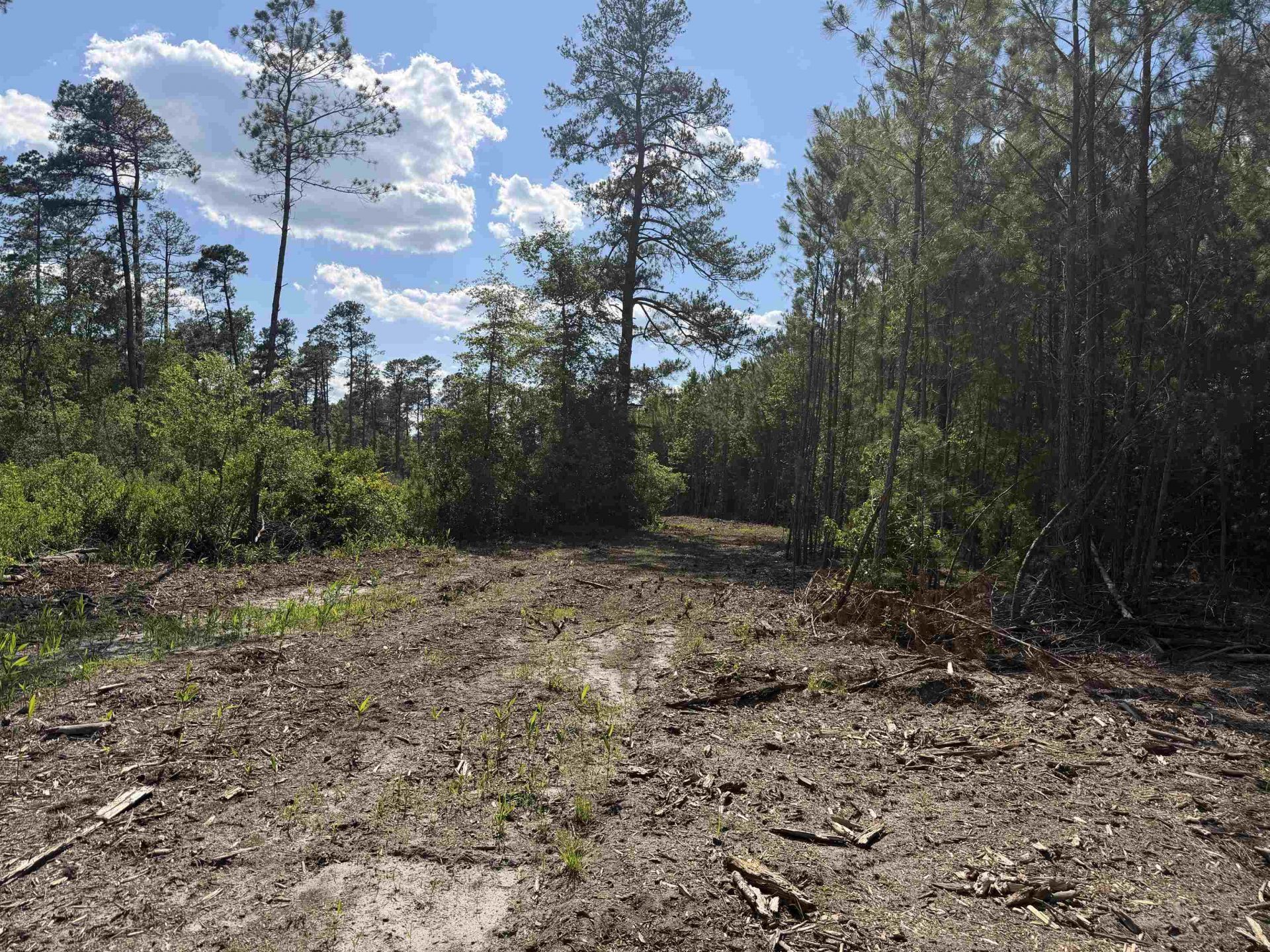 8862 Ware Dr.  Photo 11