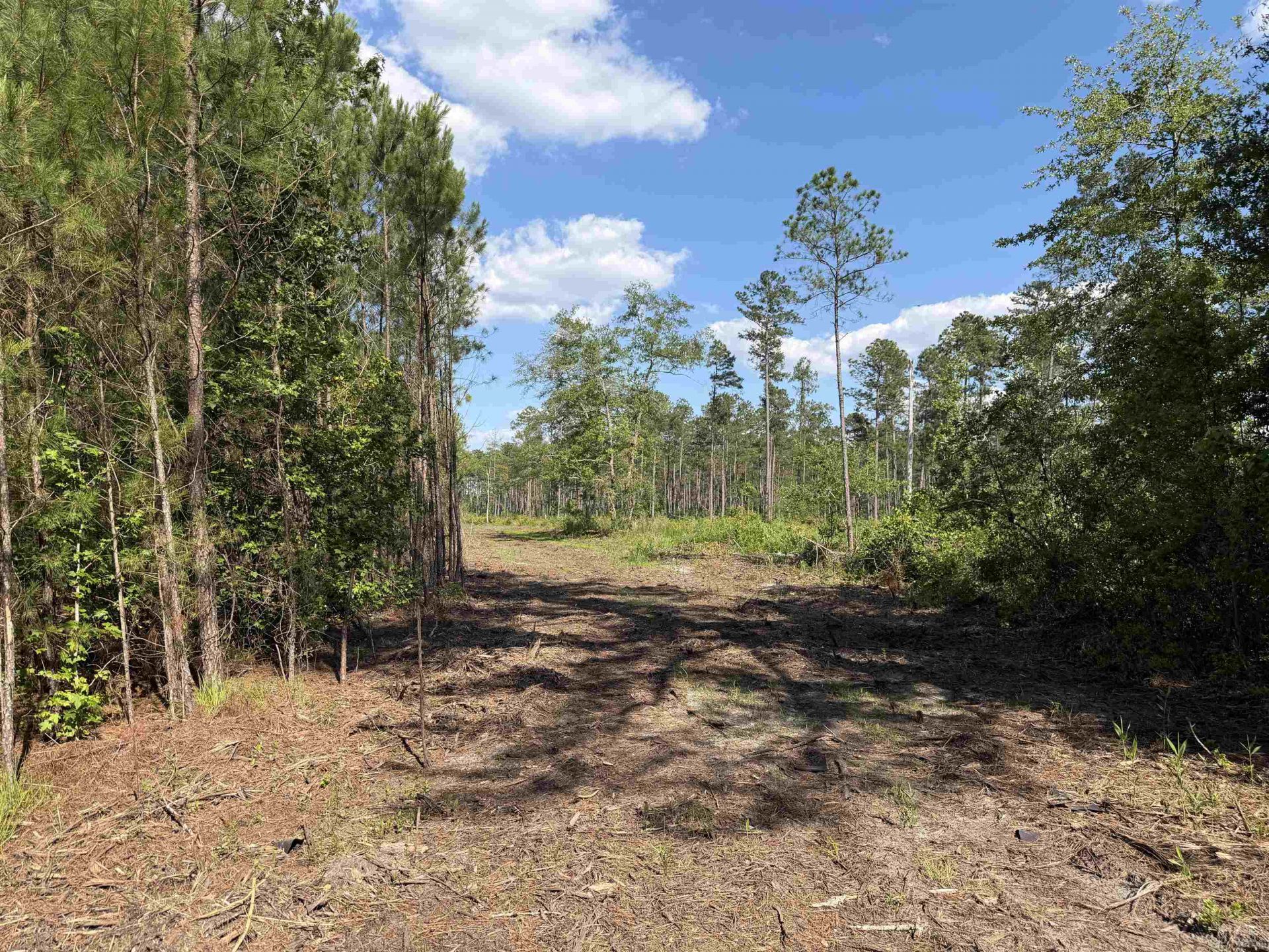 8862 Ware Dr.  Photo 15