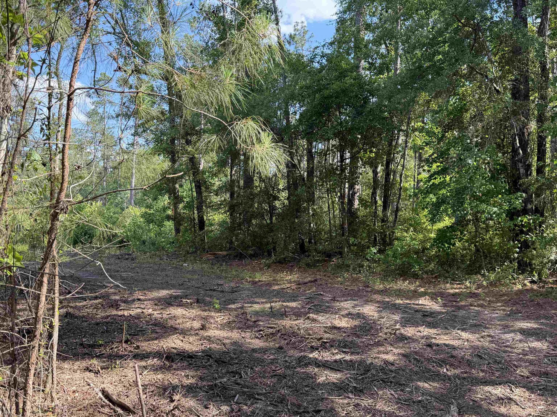 8862 Ware Dr.  Photo 17