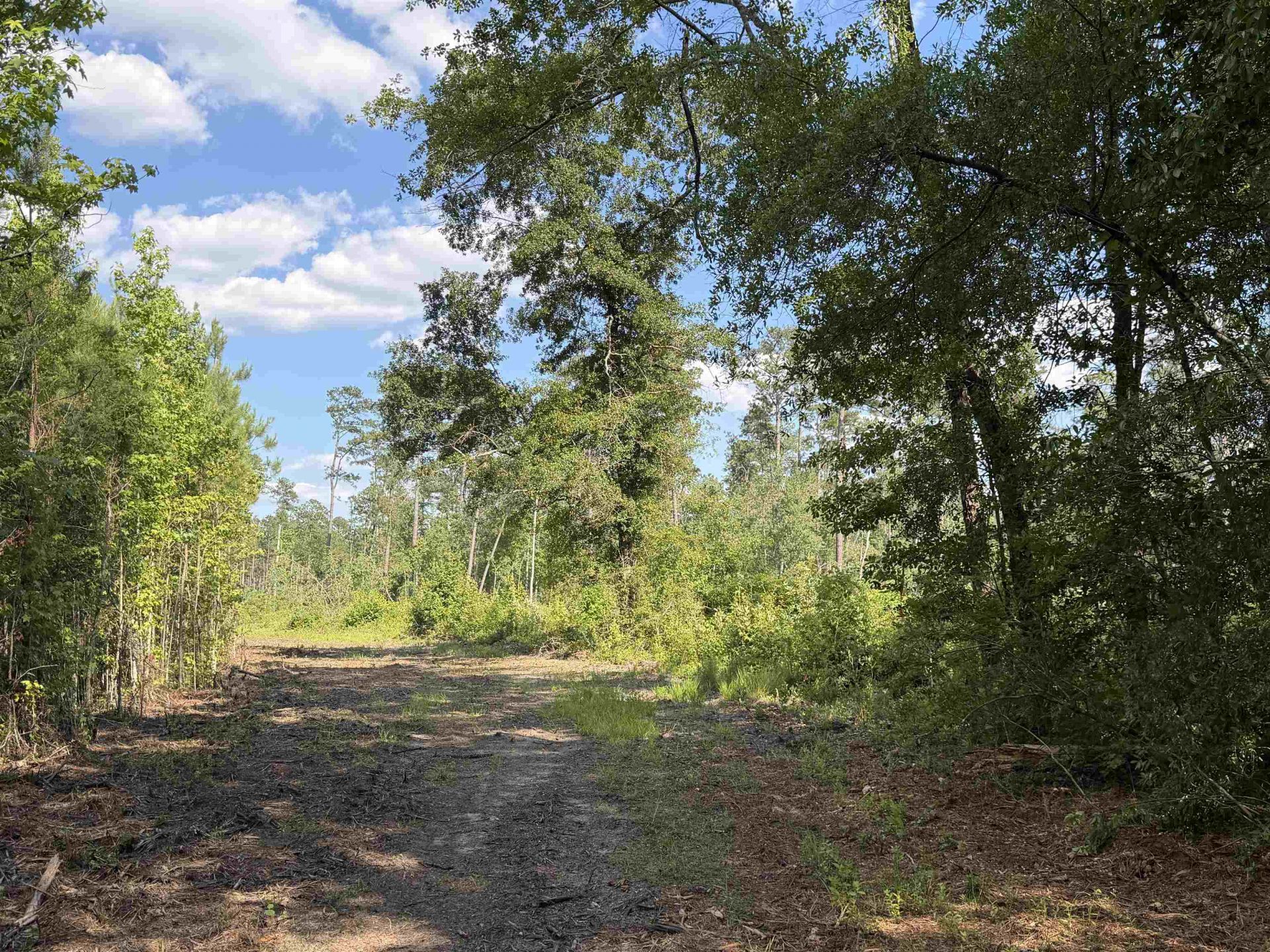 8862 Ware Dr.  Photo 18