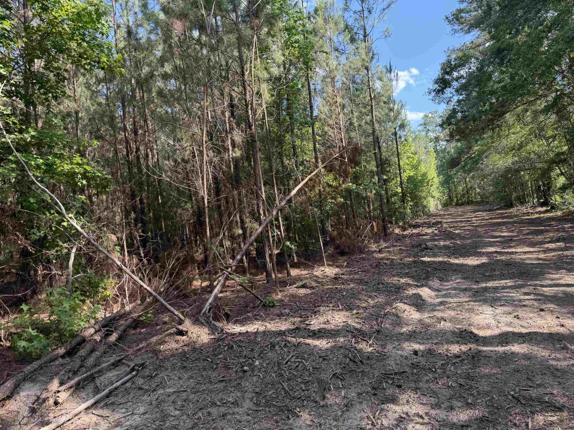 8862 Ware Dr.  Photo 19