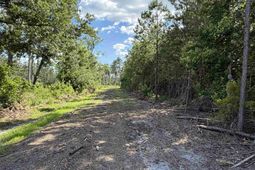 8862 Ware Dr.  photo 4
