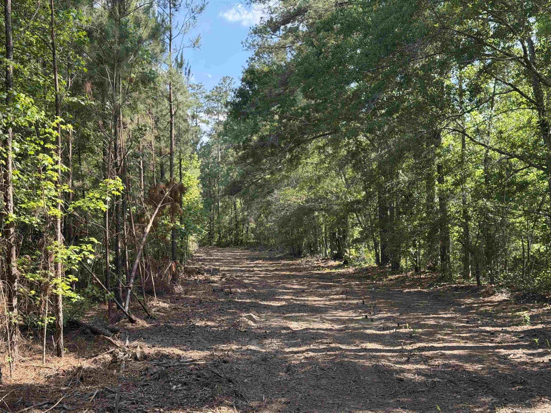 8862 Ware Dr.  Photo 20