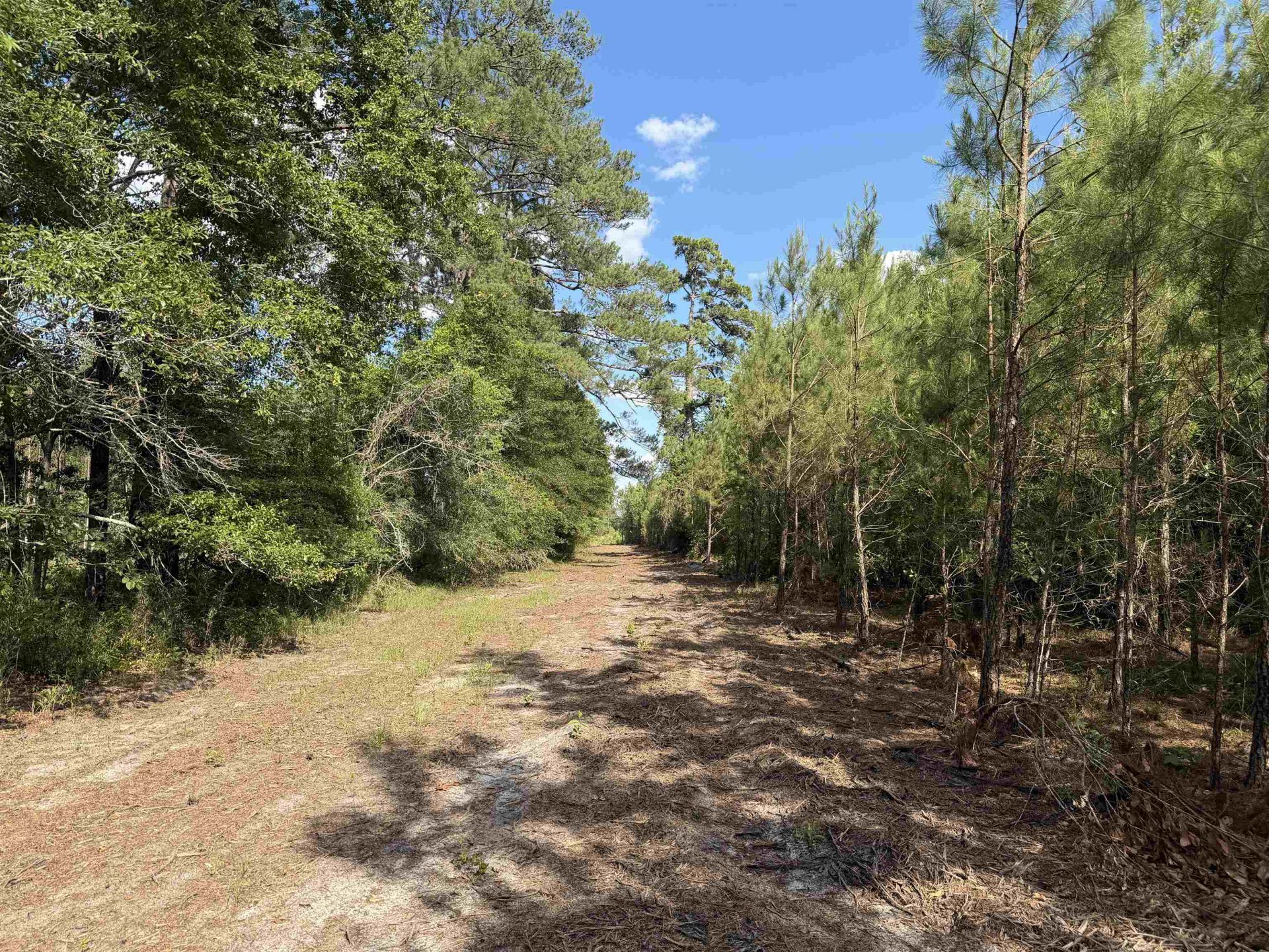 8862 Ware Dr.  Photo 21